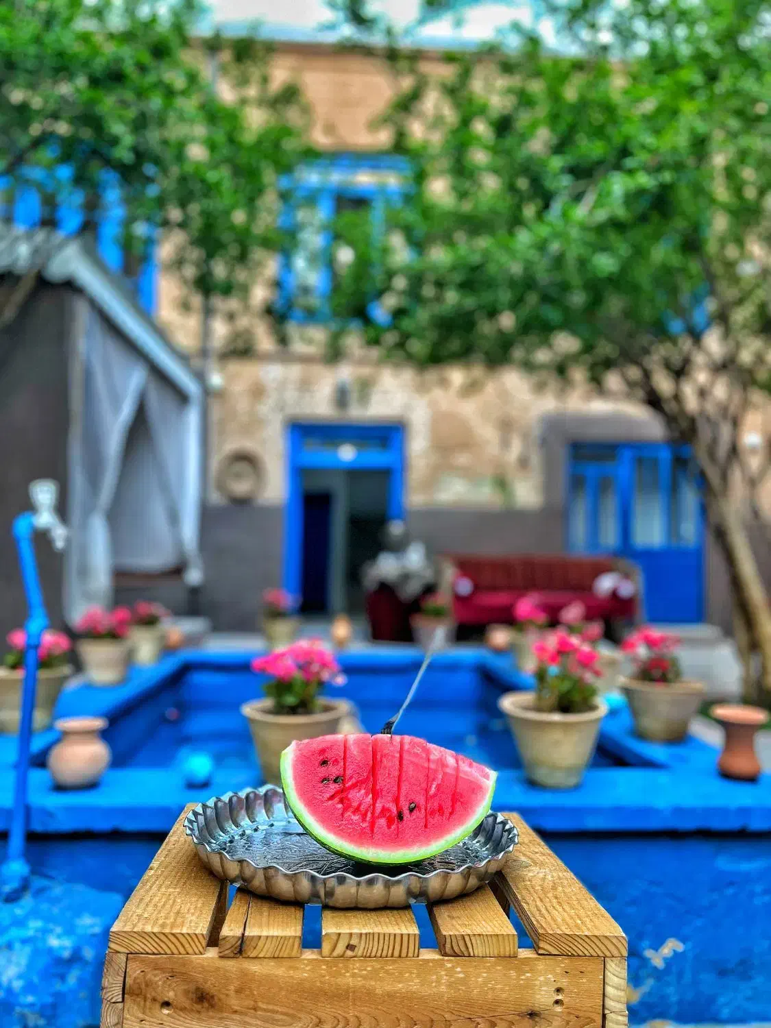 عمارت ویلایی. دربستی|اجارهٔ کوتاه‌مدت ویلا و باغ|سبزوار, کاشفی شمالی (دادگستری)|دیوار