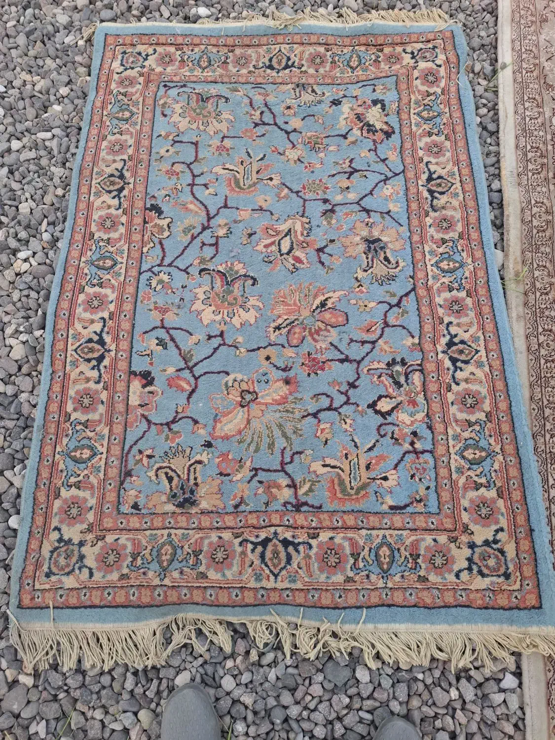 2عدد فرش 6متری با یه قالیچه 1مترونیم|فرش|رشت, جانبازان|دیوار