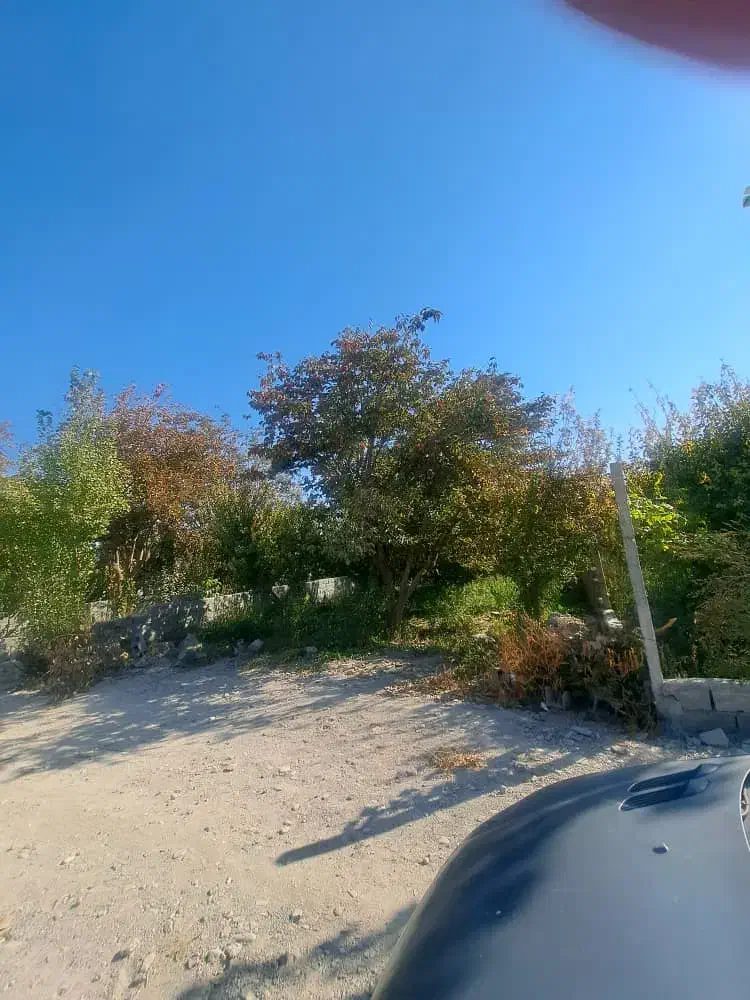 300متر سند دار شهرکی|فروش زمین و ملک کلنگی|محمدشهر, عباس آباد|دیوار