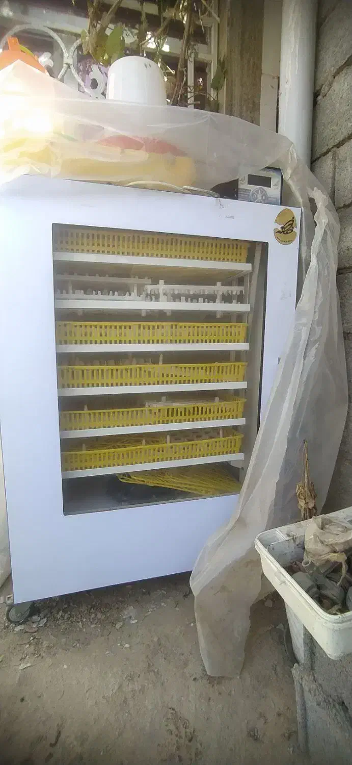 دستگاه جوجه کشی|لوازم جانبی حیوانات|تایباد, |دیوار