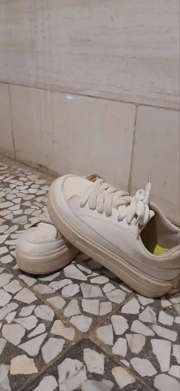 ۳ جفت کفش|کیف، کفش، کمربند|باغستان, |دیوار