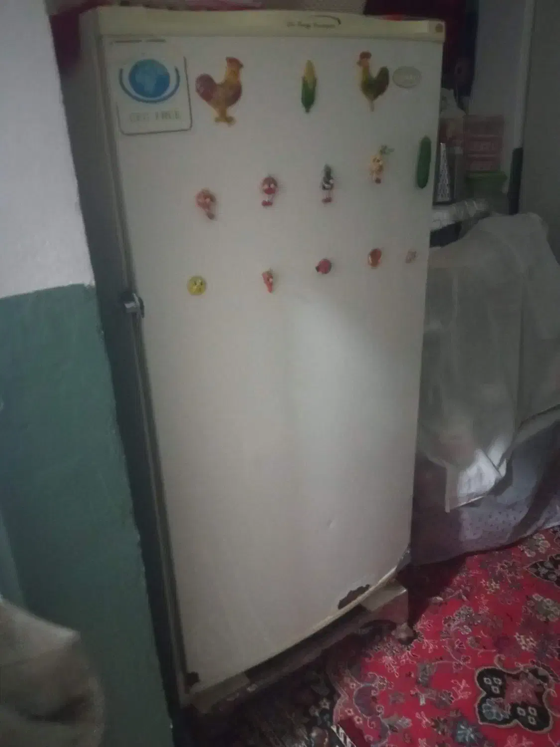 یک عدد یخچال به فروش می رسد|یخچال و فریزر|زابل, |دیوار