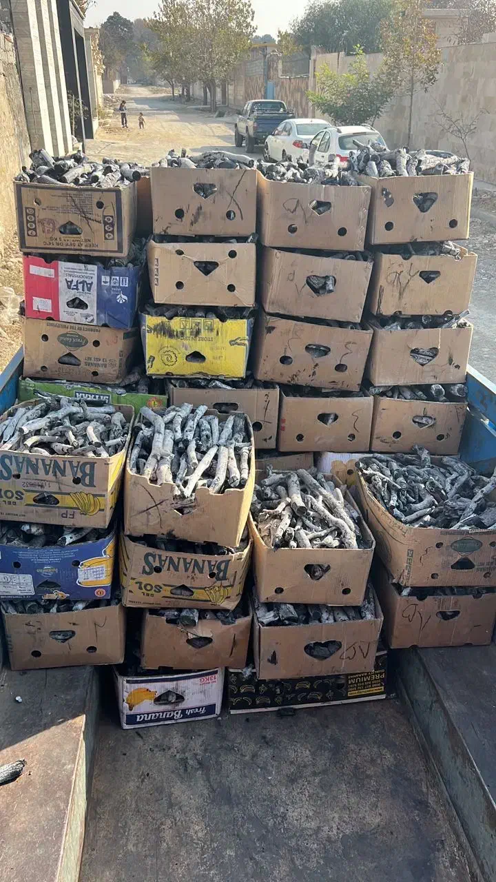 پخش و فروش زغال پسته|عمده‌فروشی|رشت, پیرکلاچای|دیوار