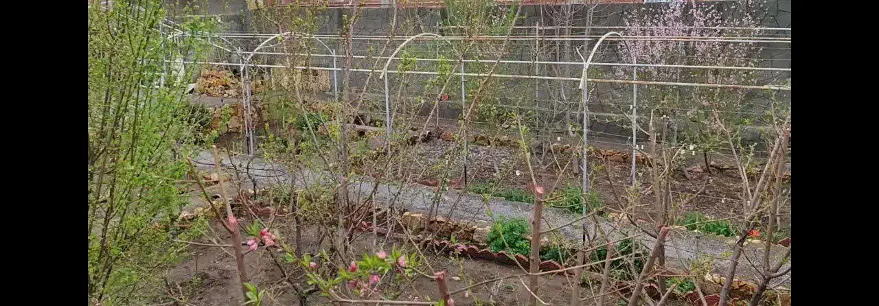 ویلا ۵۰۰متری در بهترین لوکیشن خیابان شهریار گوگان|فروش خانه و ویلا|گوگان, |دیوار