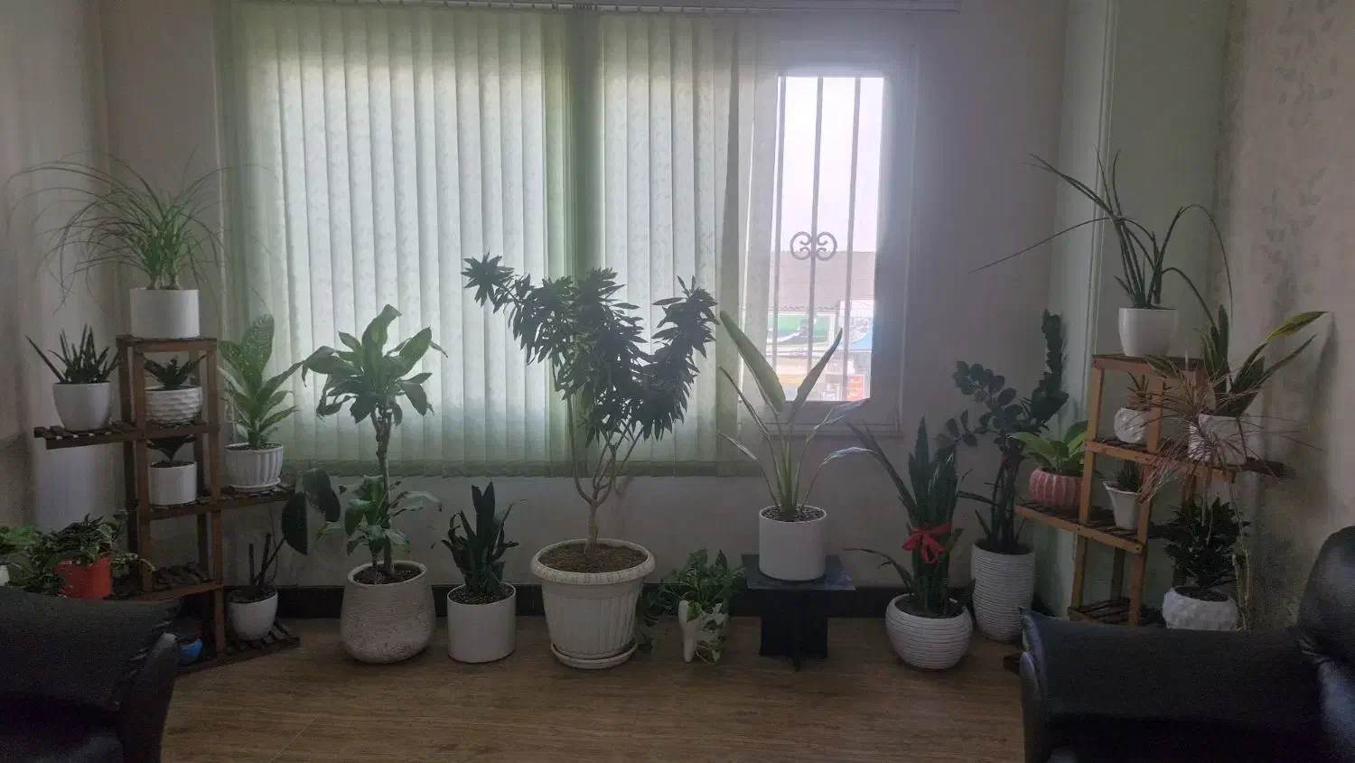 ویزیت تعویض خاک سم پاشی باغچه کاری|خدمات باغبانی و درختکاری|رشت, دیلمان|دیوار