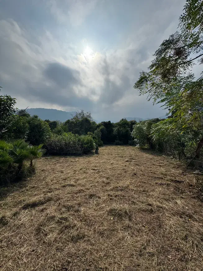 زمین مسکونی ۲۳۲ متری کبوترآبکش دوگلسر سنددار|فروش زمین و ملک کلنگی|چابکسر, |دیوار