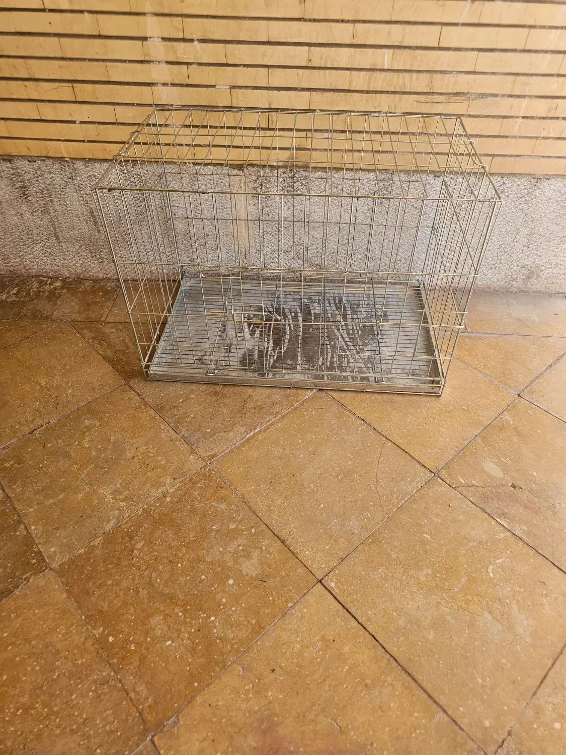 فروش قفس تاشو  استیل|لوازم جانبی حیوانات|اصفهان, بهارستان|دیوار