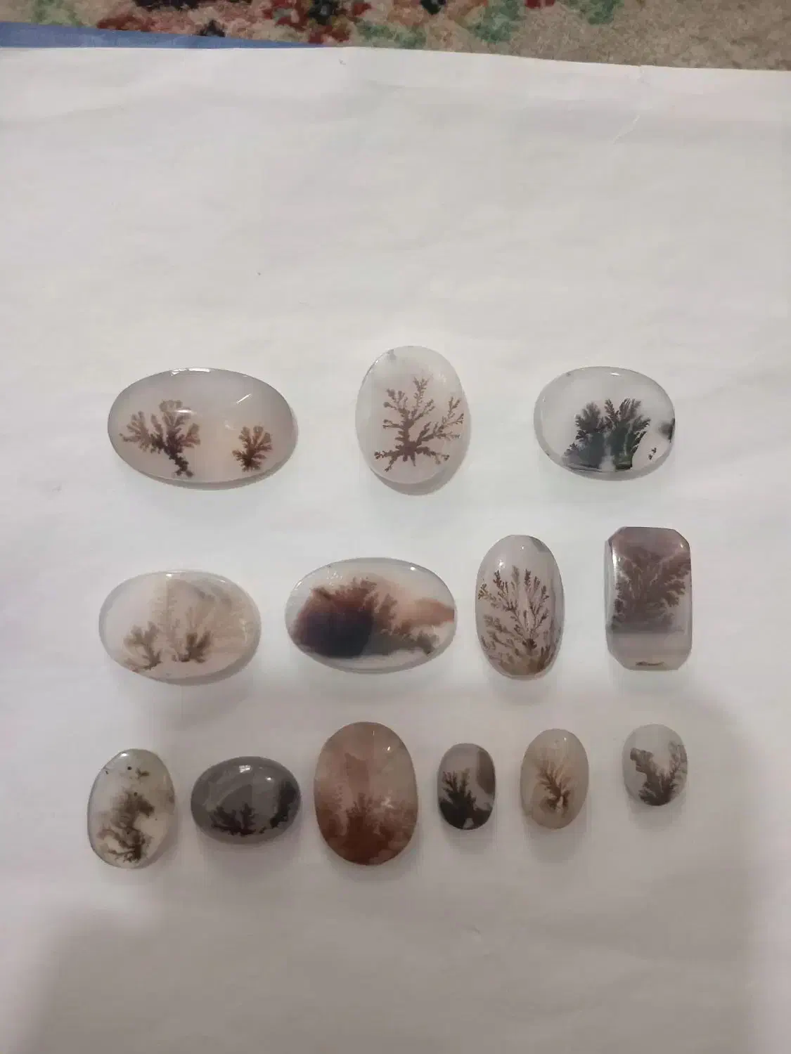 شجر|کلکسیون اشیاء عتیقه|زنجان, |دیوار