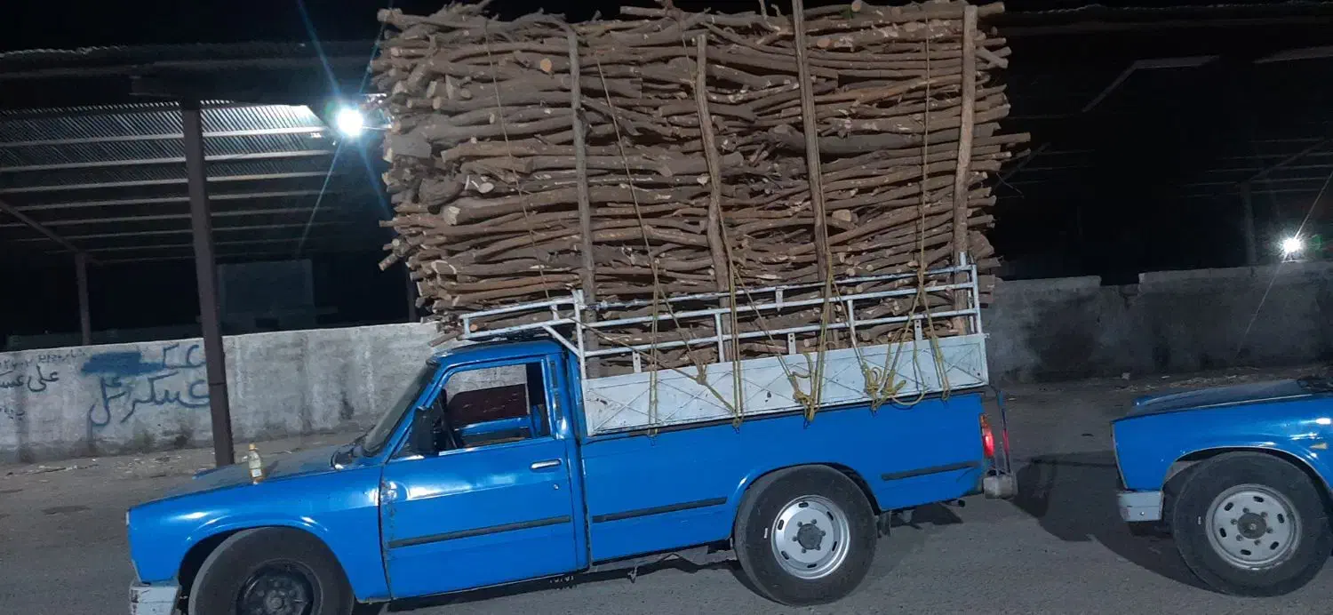 بریدن درخت و خرید چوب|خدمات باغبانی و درختکاری|کازرون, |دیوار