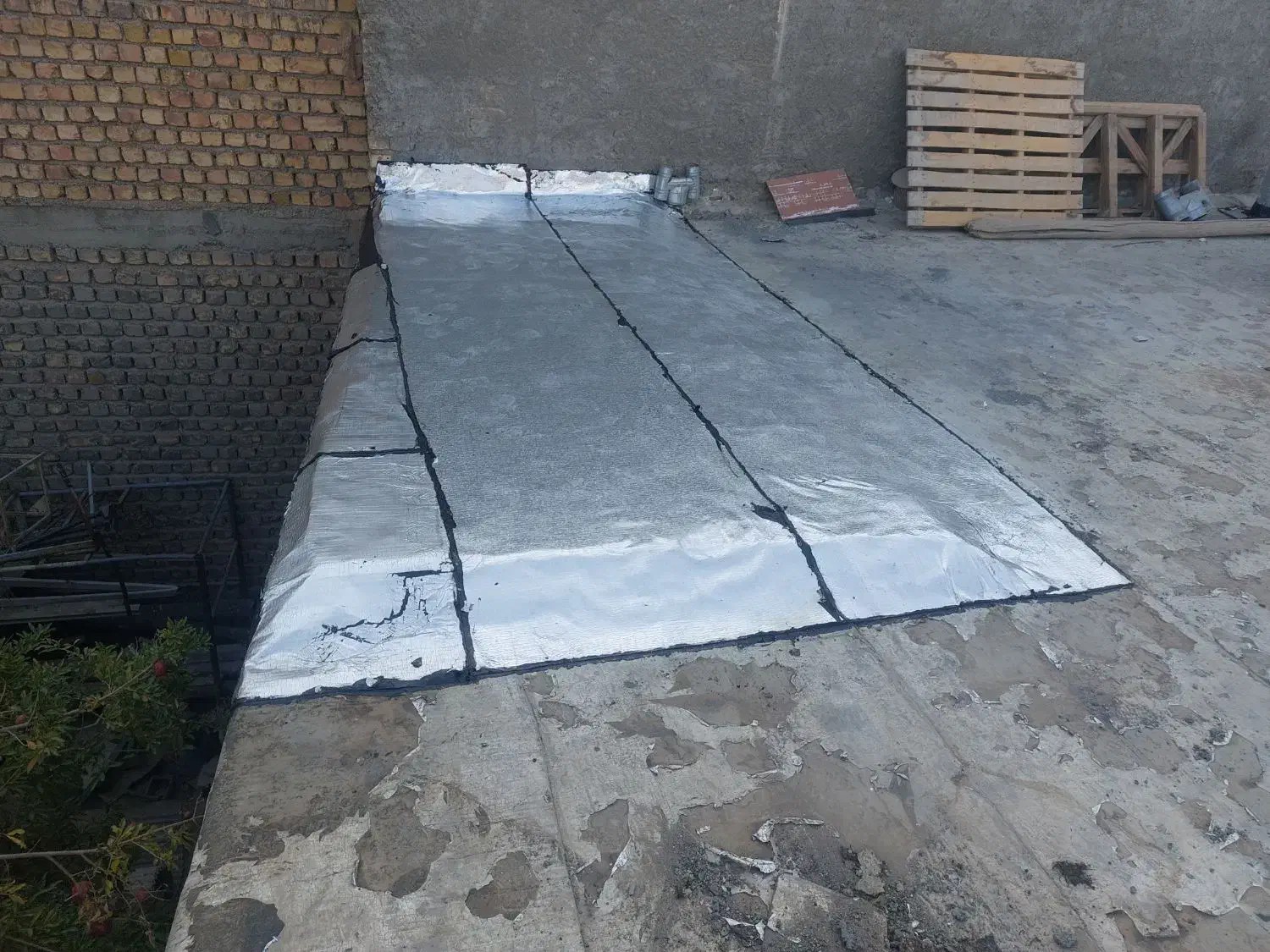 راه اندازی ۵۰ عدد مرغ گلپایگانی|فعالیت داوطلبانه تحقیقاتی|شاهین‌شهر, گرگاب|دیوار