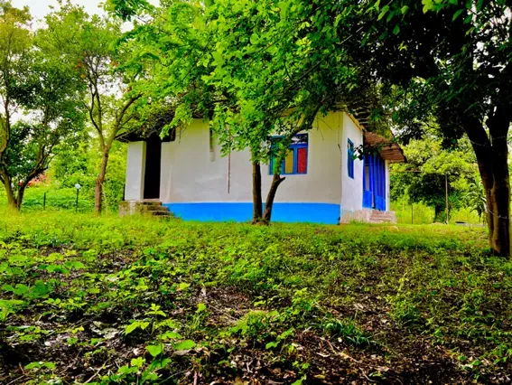 ویلا باغ روزانه|اجارهٔ کوتاهمدت ویلا و باغ|رشت, جانبازان|دیوار