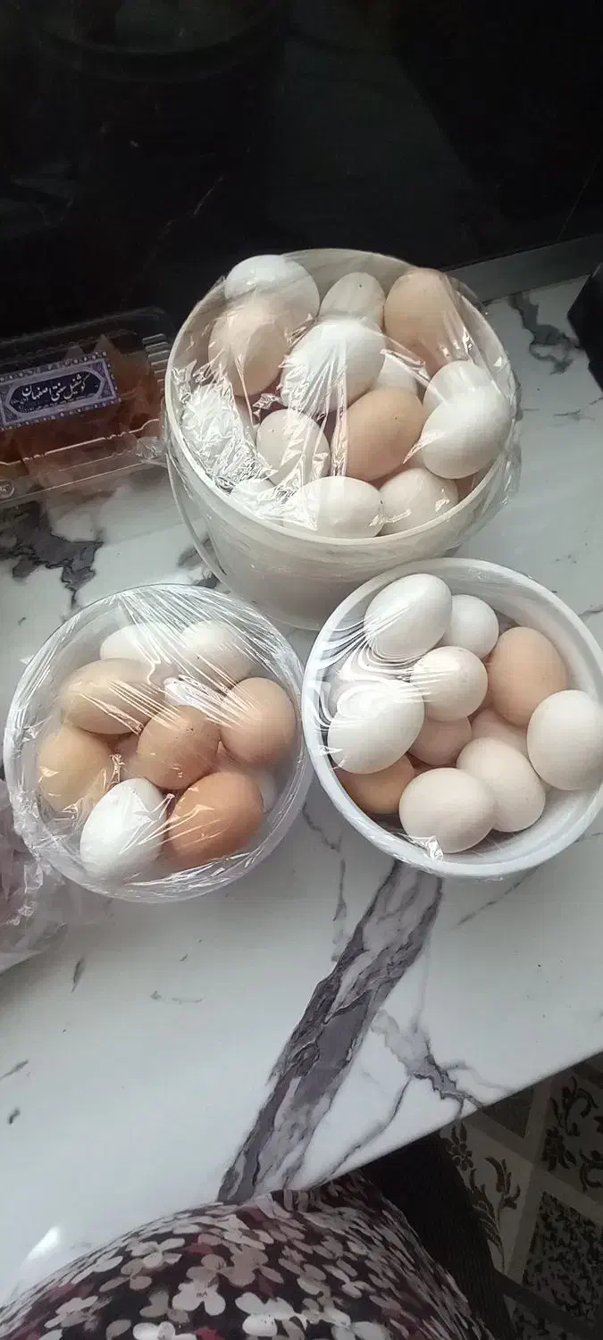 تخم مرغ خانگی بومی|خوردنی و آشامیدنی|حبیب آباد, |دیوار