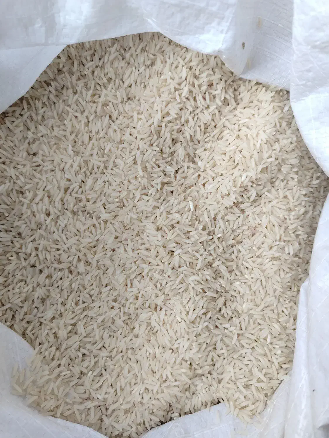 برنج دم سیاه|خوردنی و آشامیدنی|فاضل آباد, |دیوار