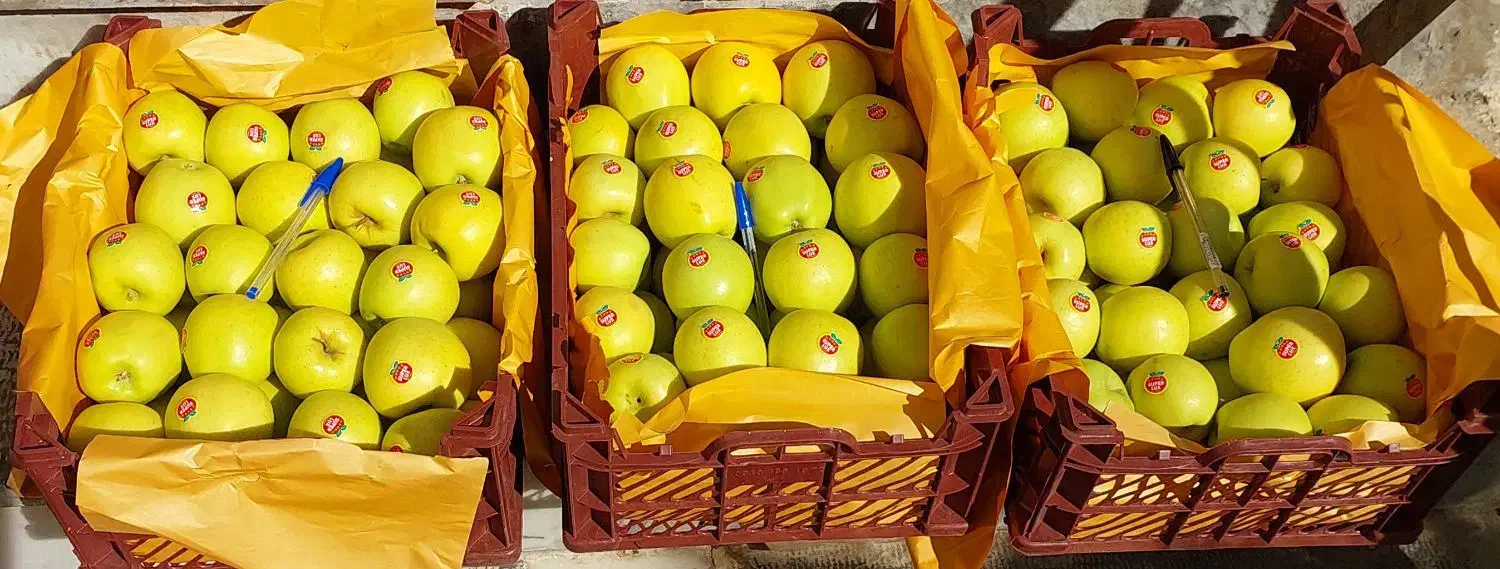 ۵۱ جعبه سیب سفید با فیلم|خوردنی و آشامیدنی|شاهین دژ, |دیوار