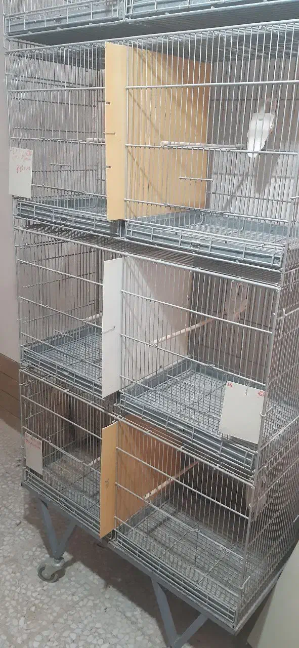 هشتخون پژاوند|لوازم جانبی حیوانات|پردیس, فاز ۴|دیوار