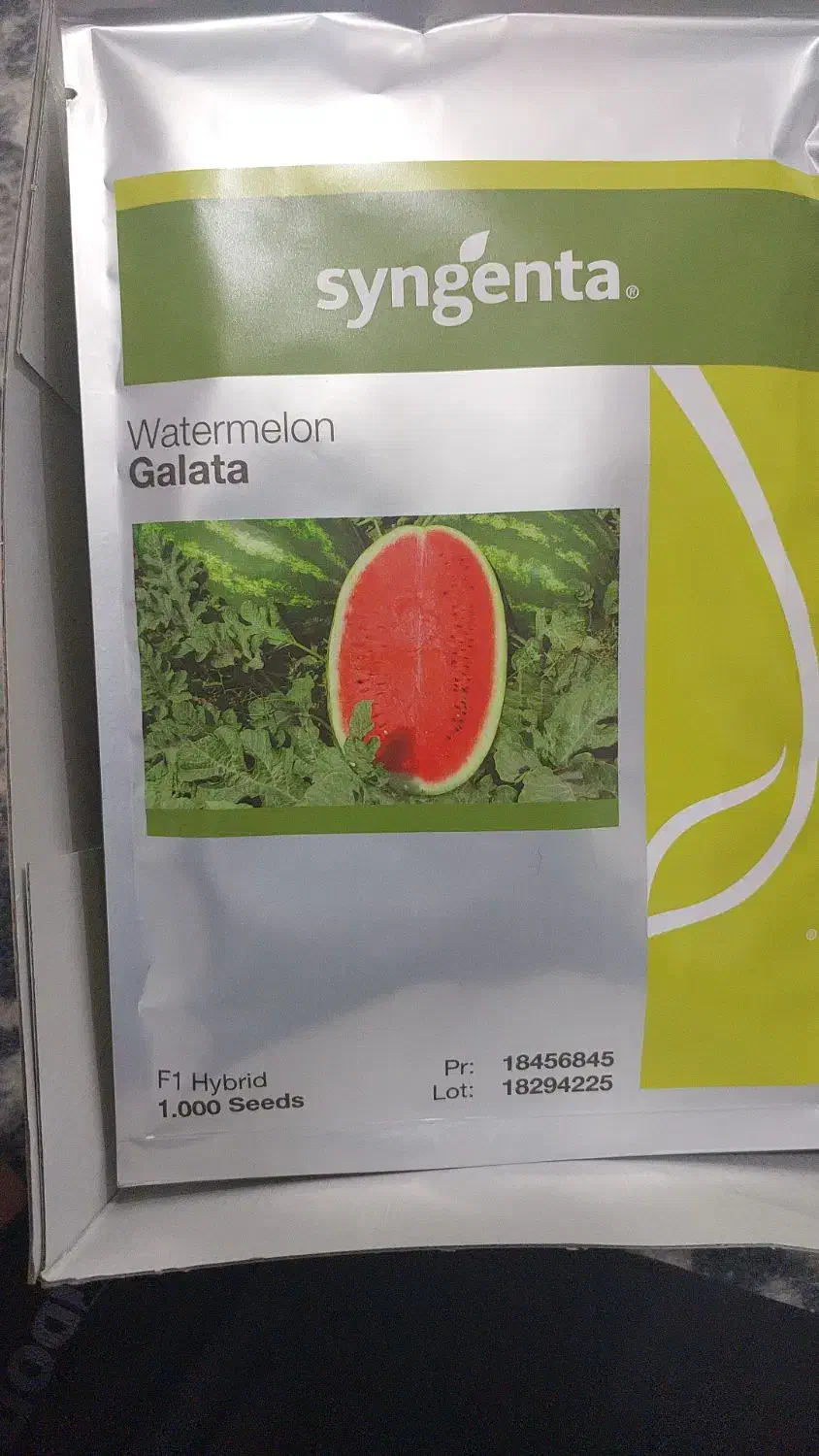 بذر هندوانه|عمدهفروشی|کازرون, |دیوار