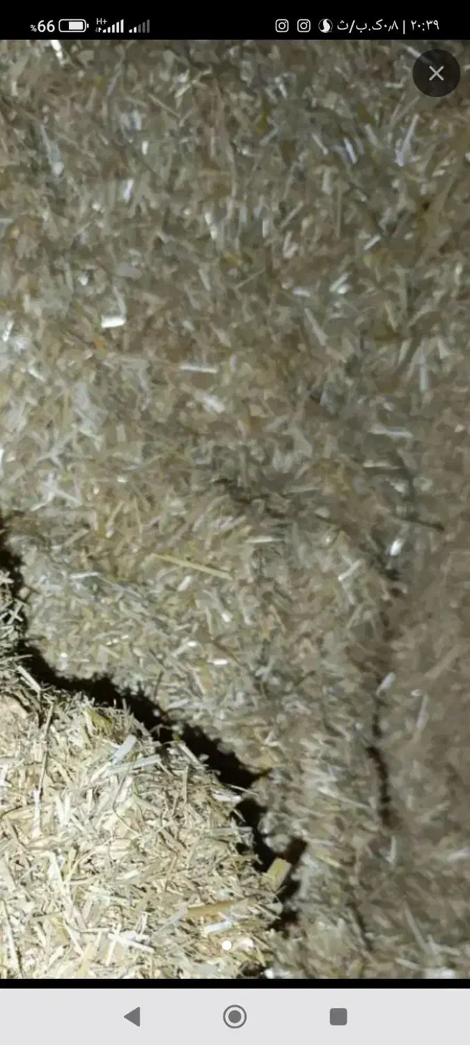 کاه دست اول درجه یک گندم ریز|لوازم جانبی حیوانات|انبارآلوم, |دیوار