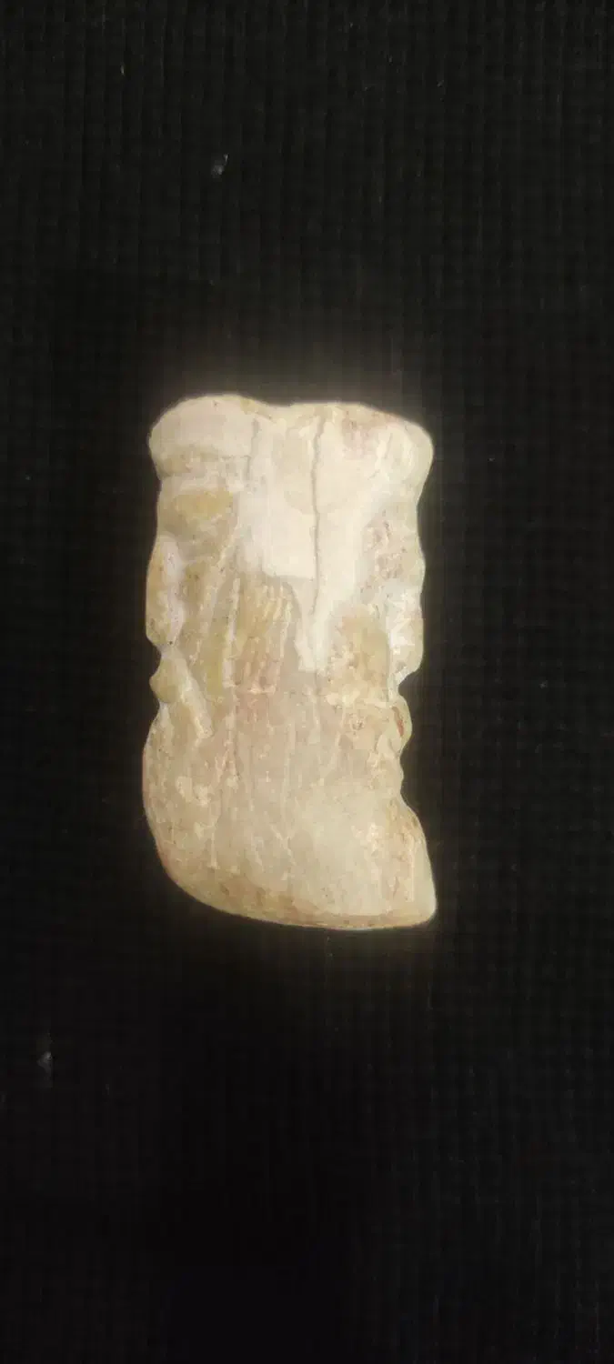 اشیاء عتیقه قدیمی|کلکسیون اشیاء عتیقه|کازرون, |دیوار