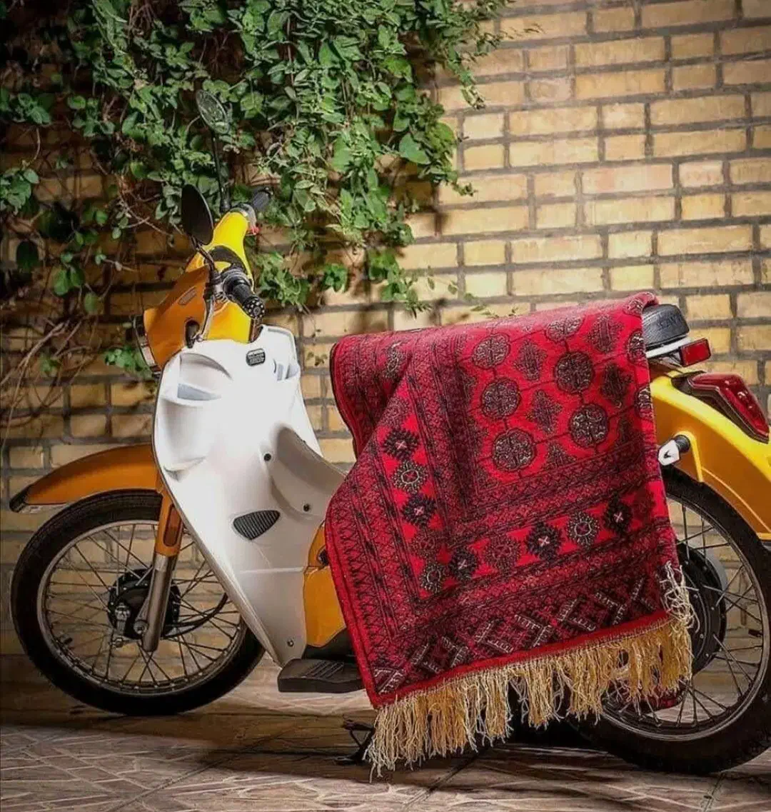 قالیشویی تهرانپارس رشیدگلبرگ سرسبزدردشت نارمک|خدمات نظافت|تهران, تهرانپارس جنوبی|دیوار