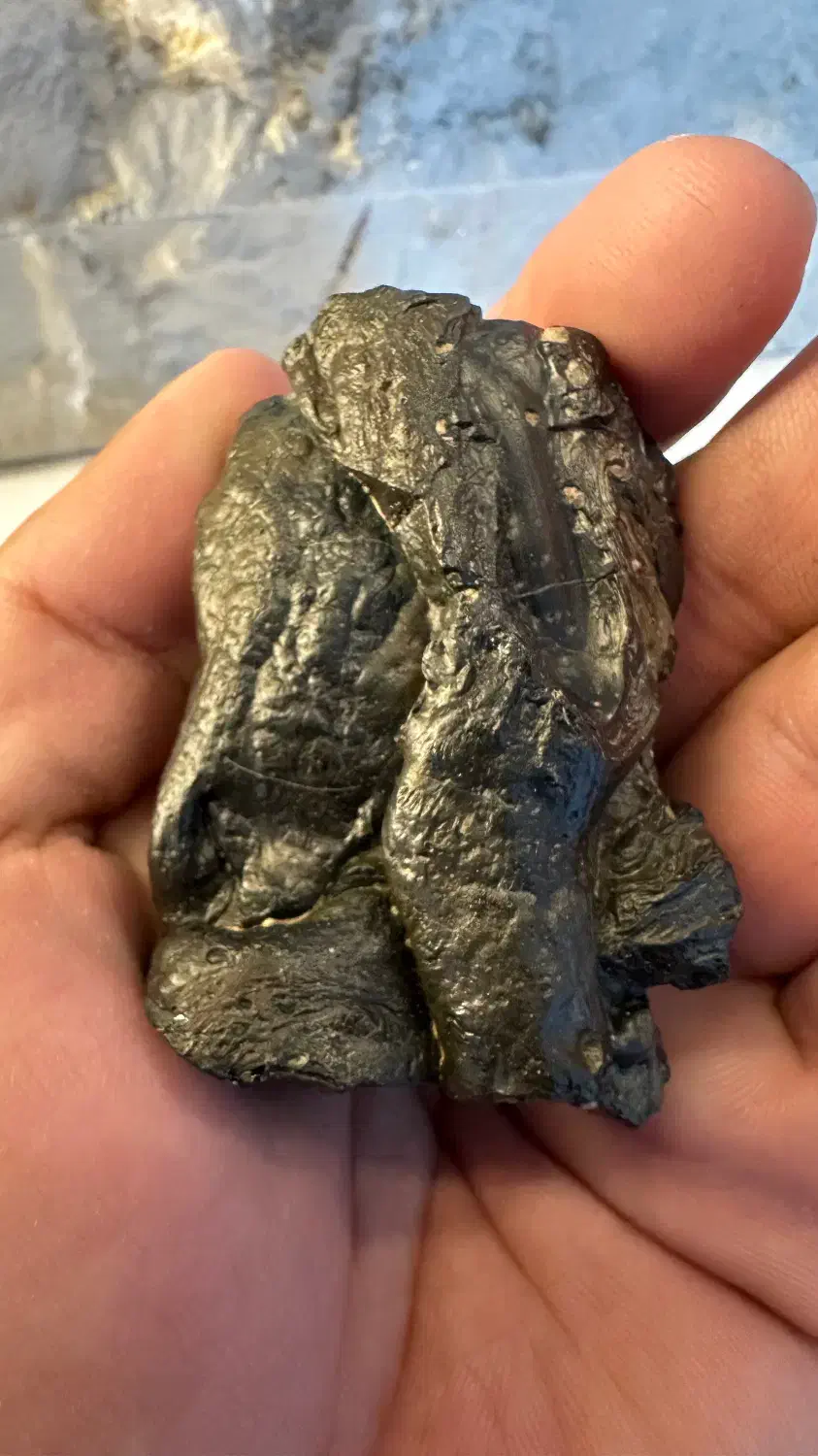 شهاب سنگ|کلکسیون اشیاء عتیقه|تایباد, |دیوار