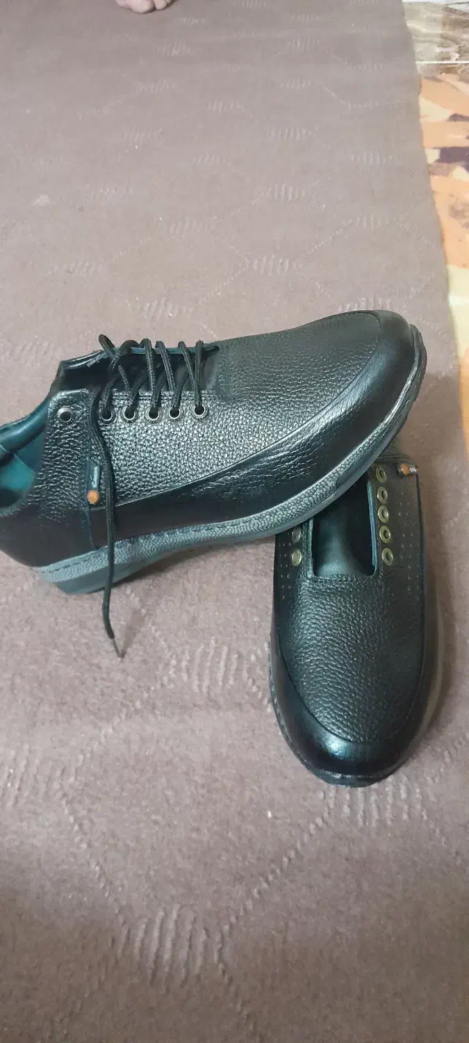 کفش چرم|کیف، کفش، کمربند|بهارستان, |دیوار