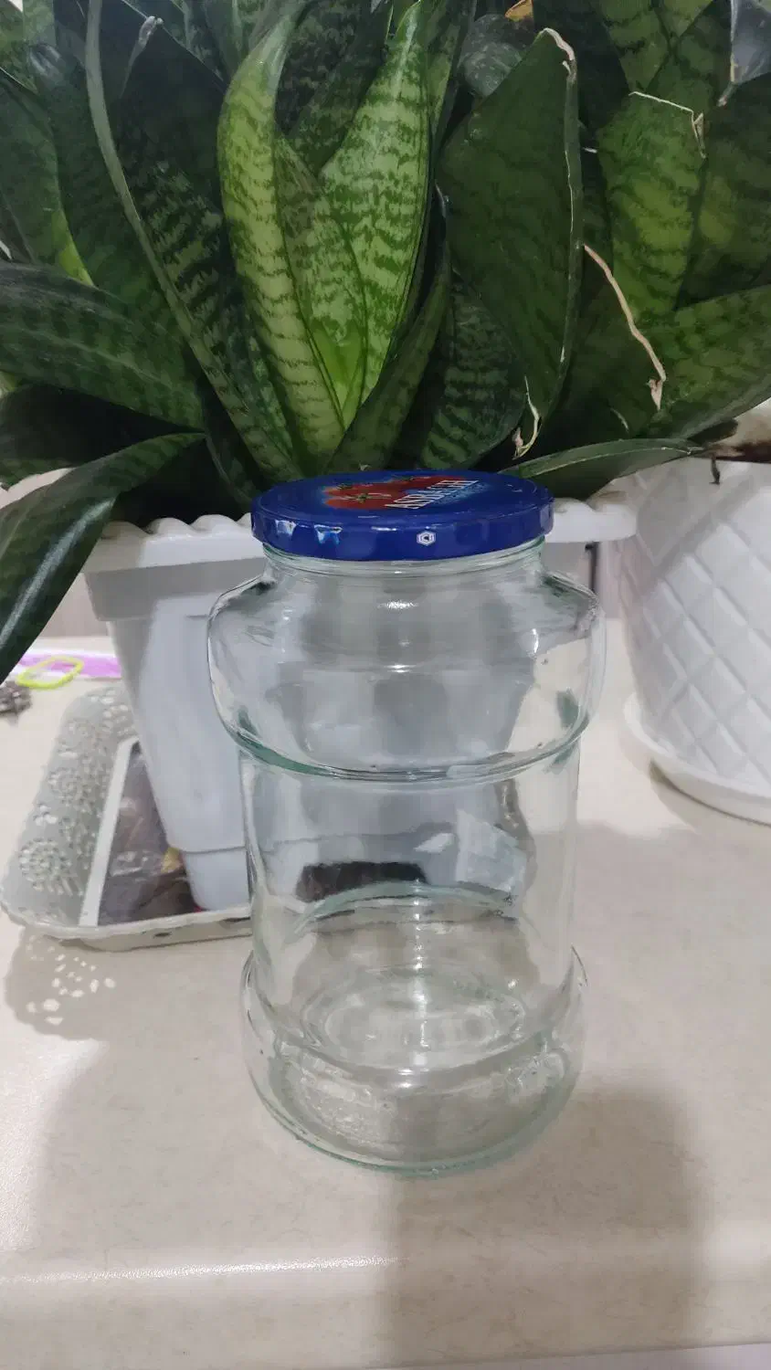 شیشه خالی|ظروف نگهدارنده، پلاستیکی، یک‌بارمصرف|بانه, |دیوار