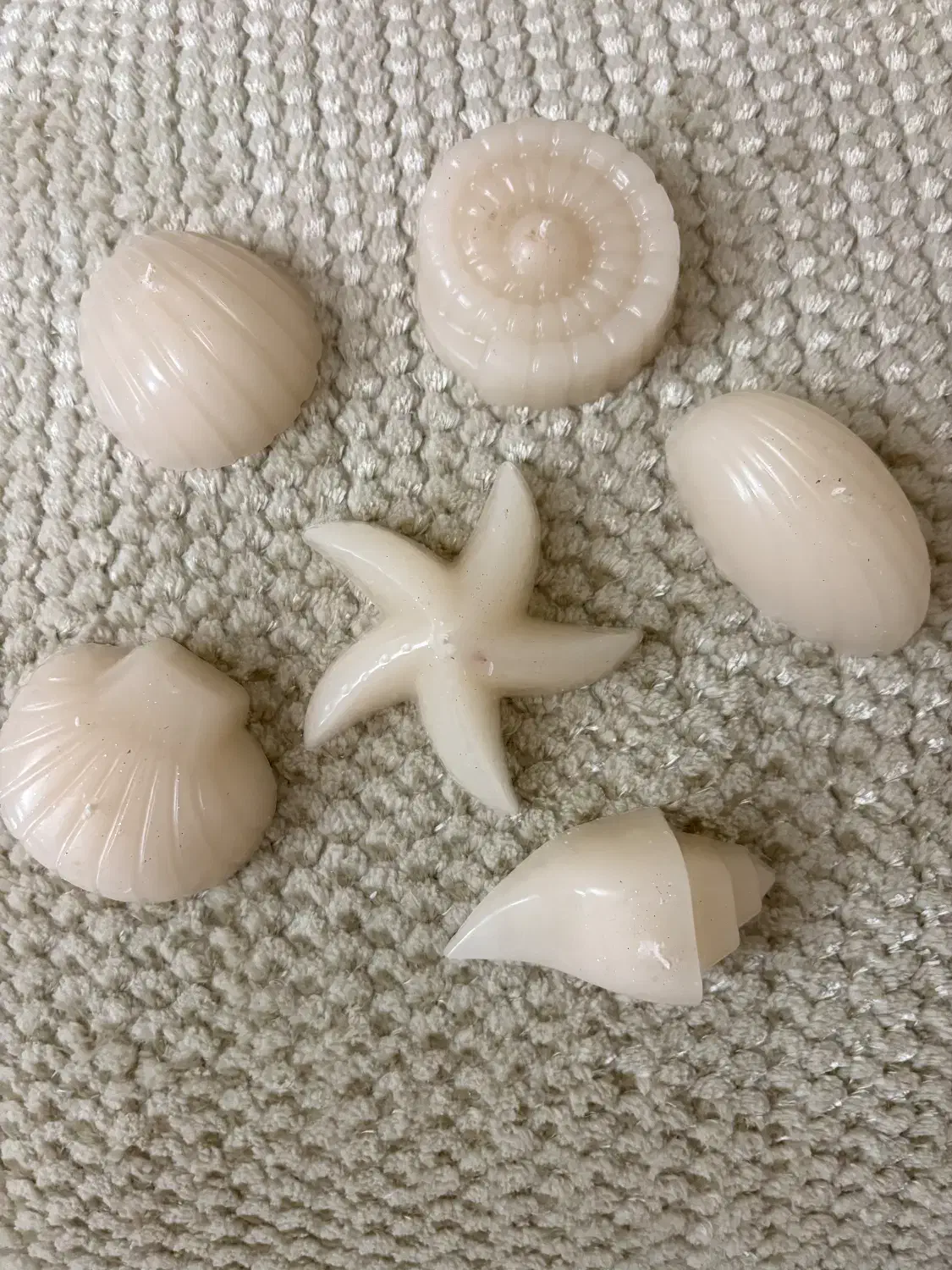 شمع دریایی|صنایع دستی و سایر لوازم تزئینی|سبزوار, عظیمیان|دیوار