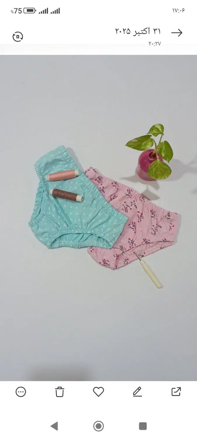 شورت زنانه|لباس|سبزوار, جوادیه شرقی|دیوار