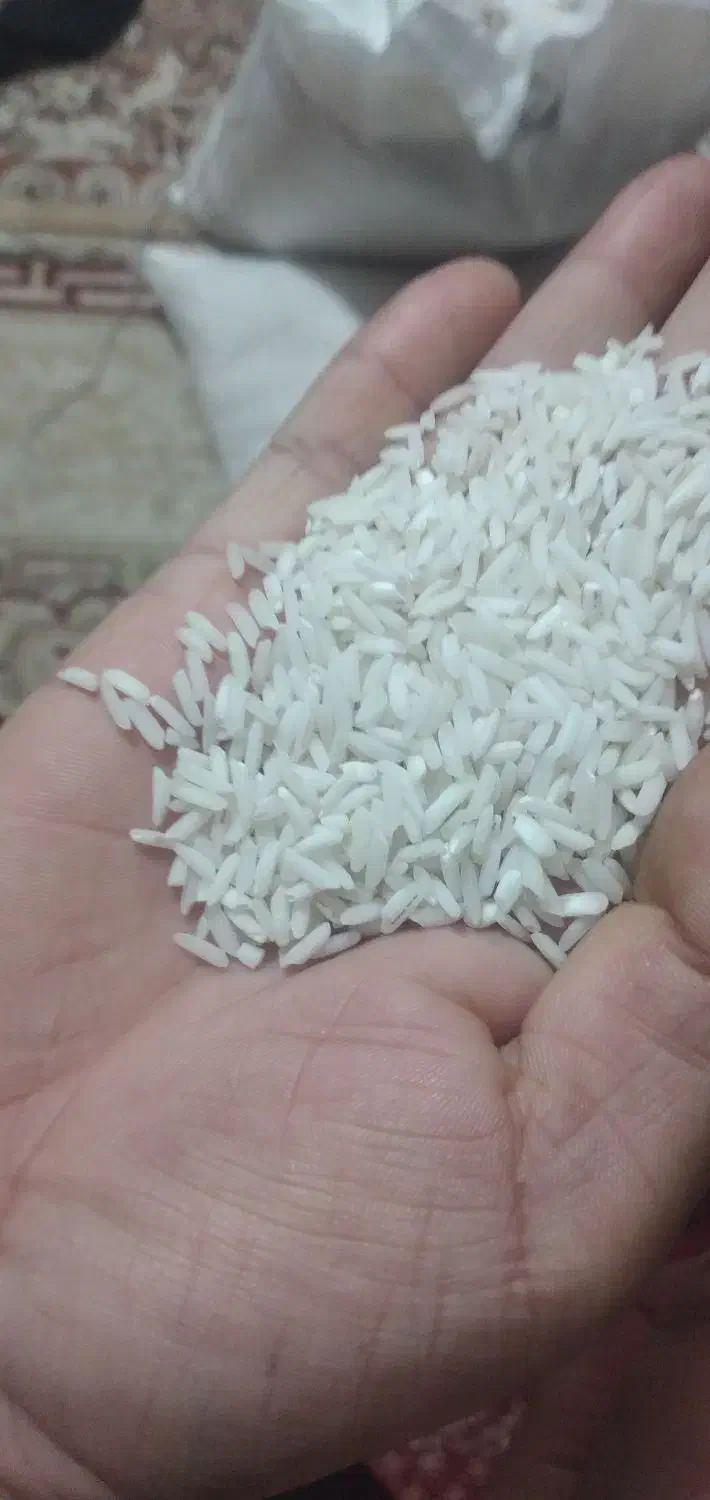 برنج هاشمی درجه یک|خوردنی و آشامیدنی|پاکدشت, پاکدشت (مامازند)|دیوار