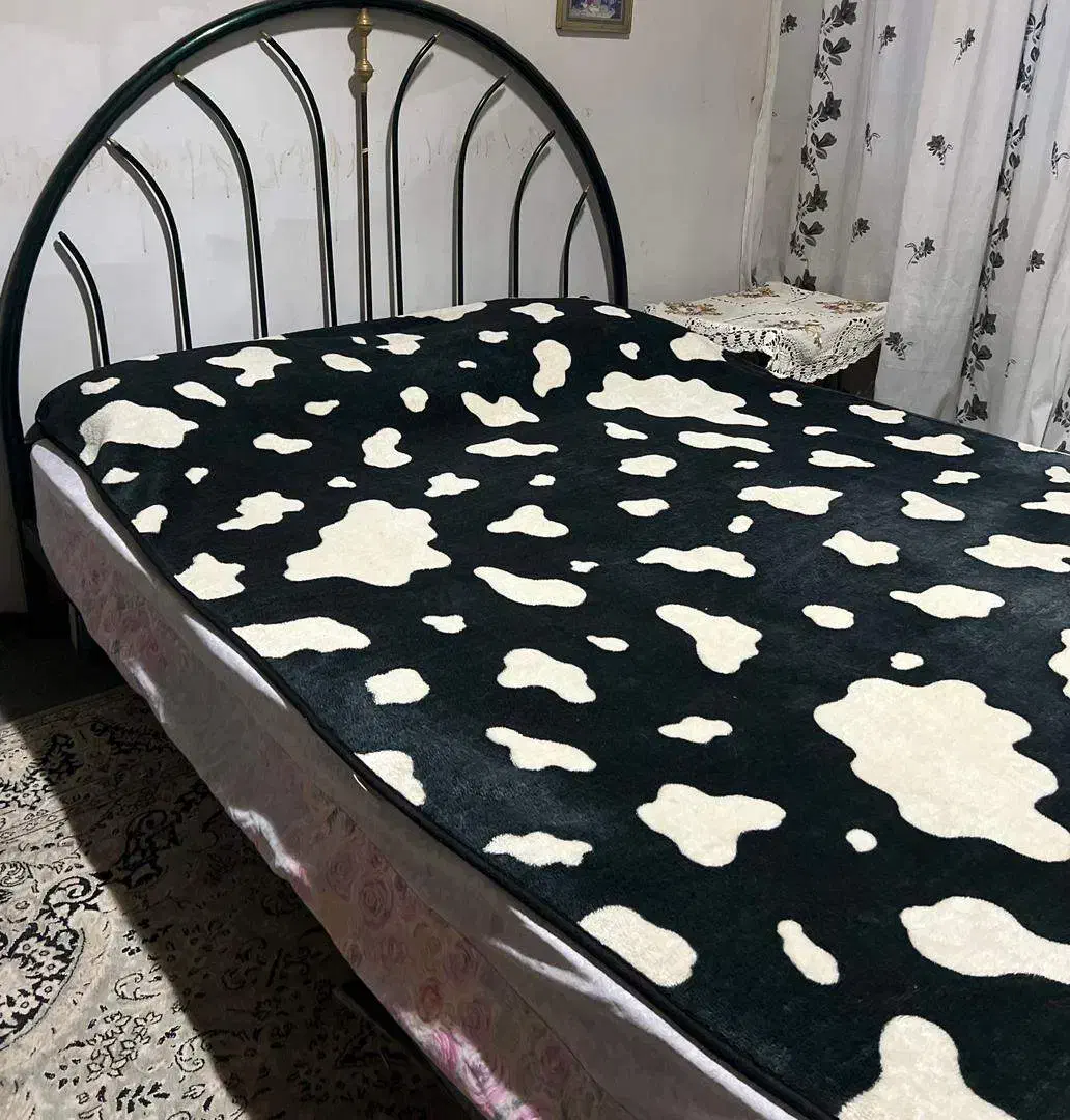 تخت فلزی دو نفره به همراه خوشخواب فنری سالم|تخت و سرویس خواب|بندر انزلی, آذربایجان|دیوار