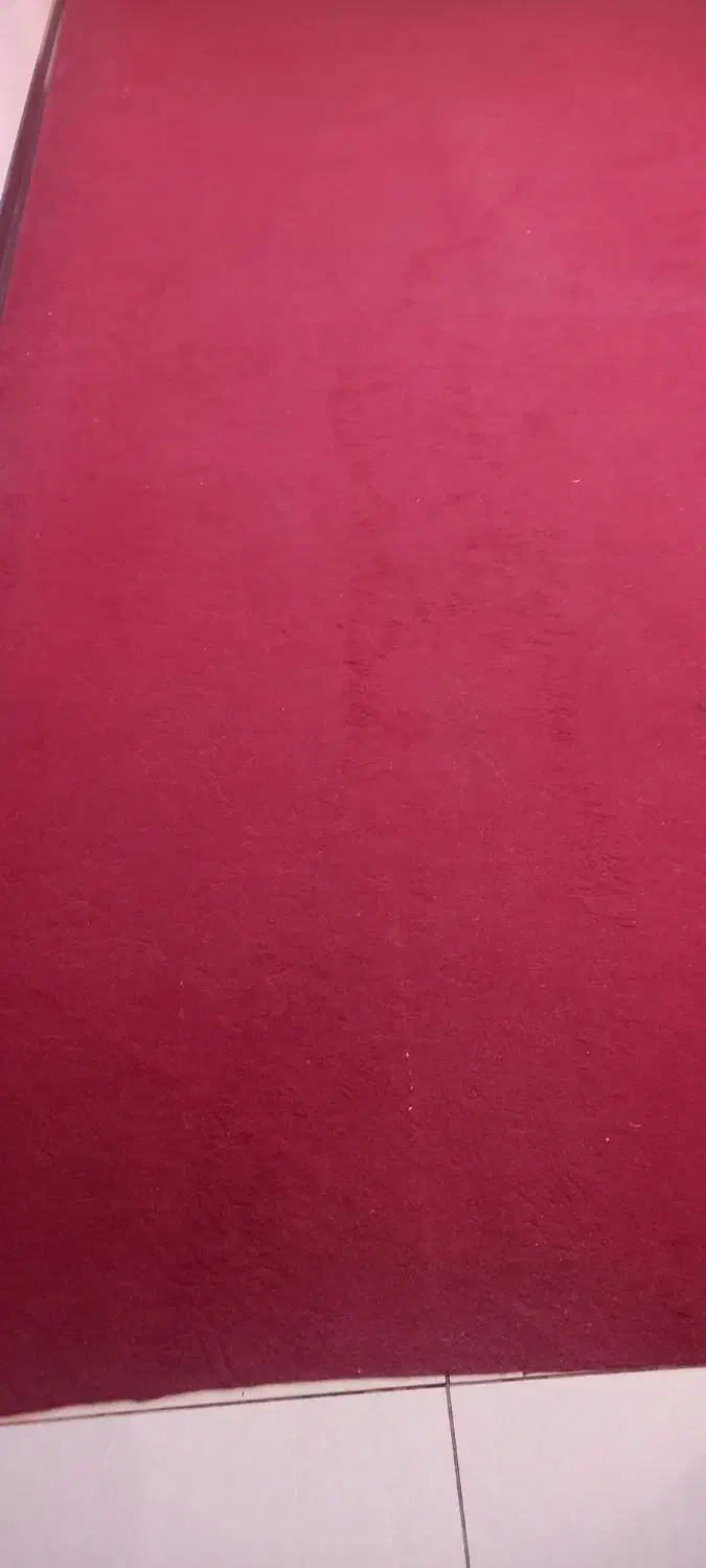 موکت|موکت|اصفهان, برازنده|دیوار