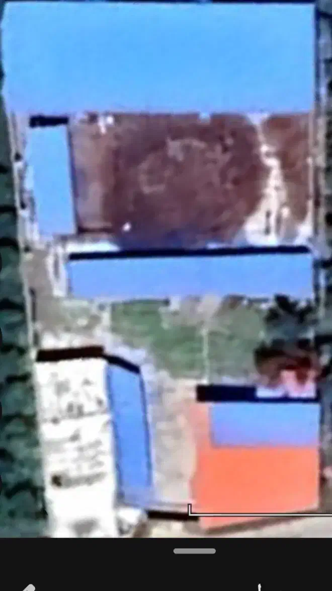 یک واحد دامداری به اجاره واگذار میشود|اجارهٔ دفتر صنعتی، کشاورزی، تجاری|ارومیه, |دیوار