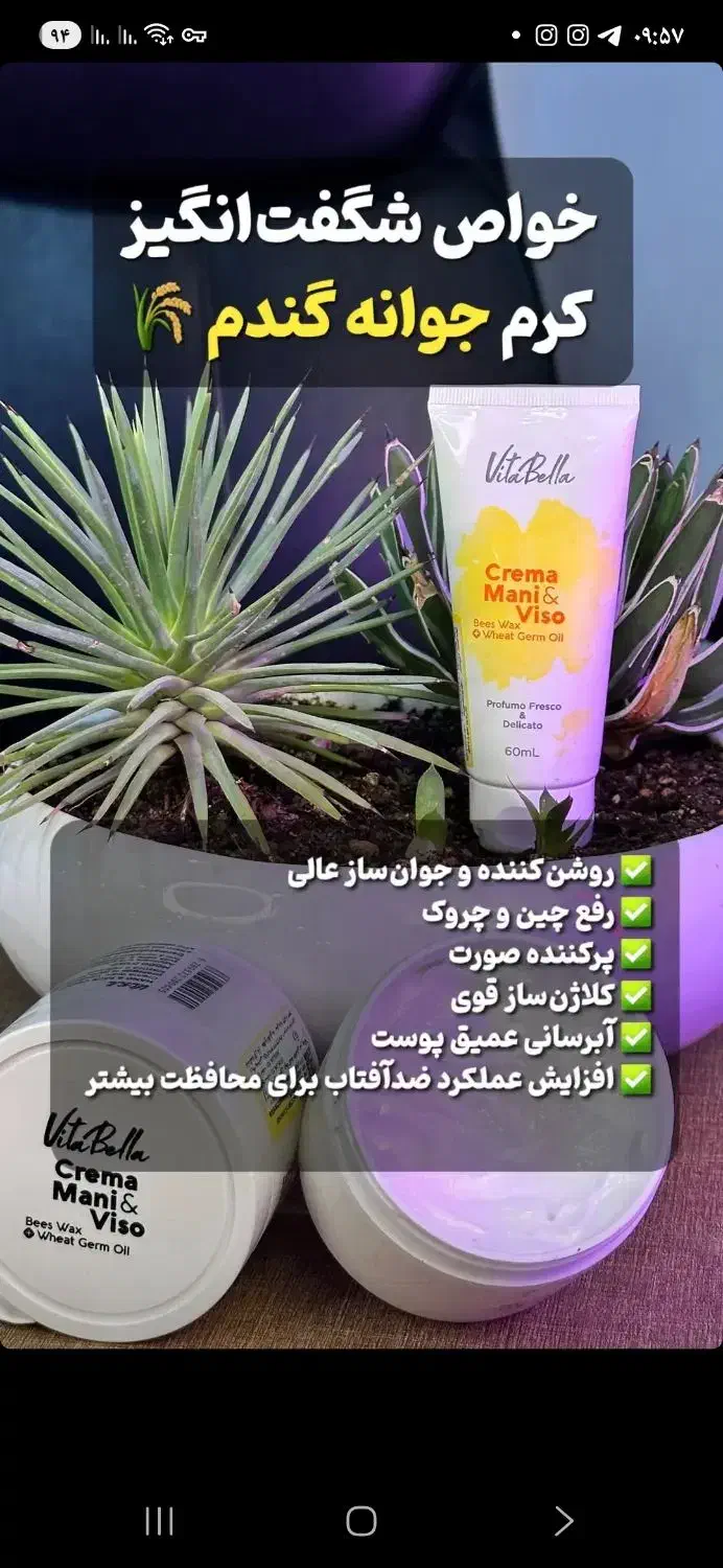 کرم جوان کننده جوانه گندم|آرایشی، بهداشتی، درمانی|اهواز, پادادشهر|دیوار