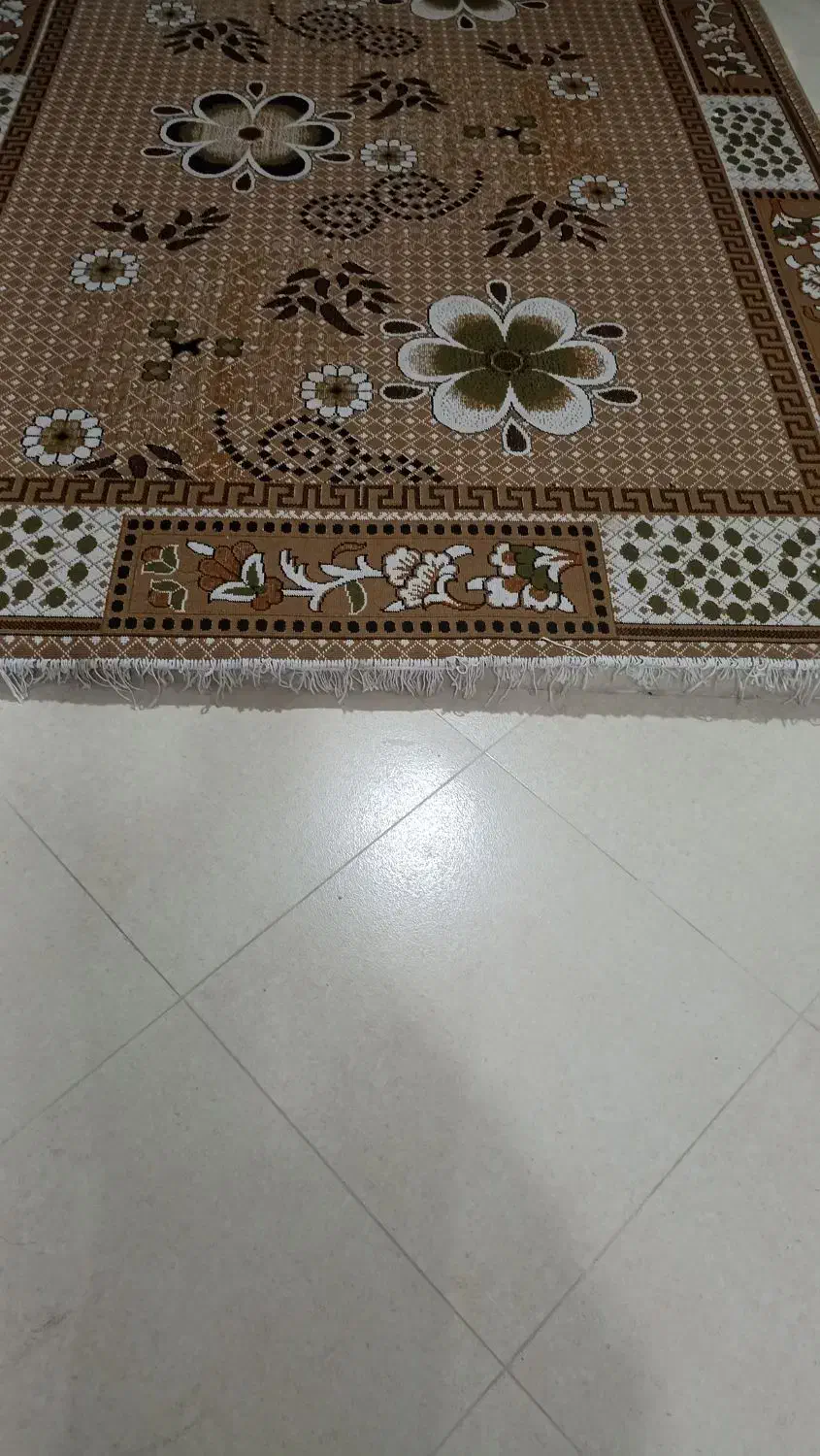 گلیم 6متری|فرش|نوشهر, |دیوار