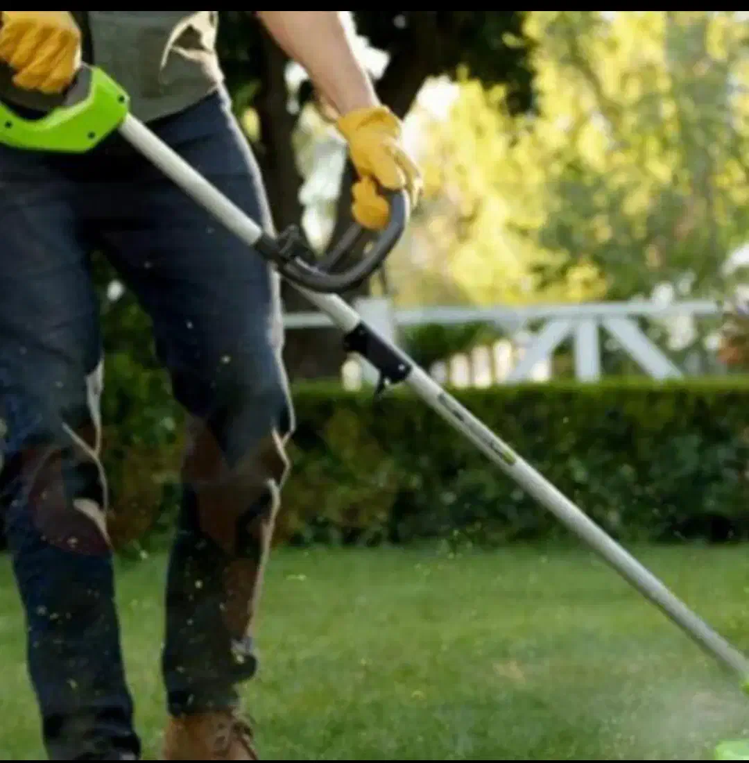 باغبانی|خدمات باغبانی و درختکاری|رشت, دخانیات|دیوار