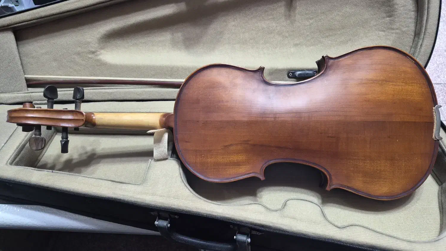 ویالون ۱۴۶tf|ویولن|همدان, |دیوار