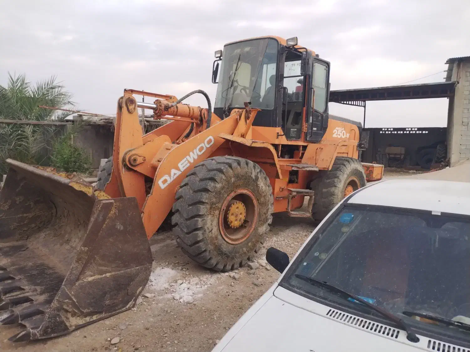 لودر دوو 250 مدل 2004 موتور کمنز|خودرو سنگین|برازجان, |دیوار