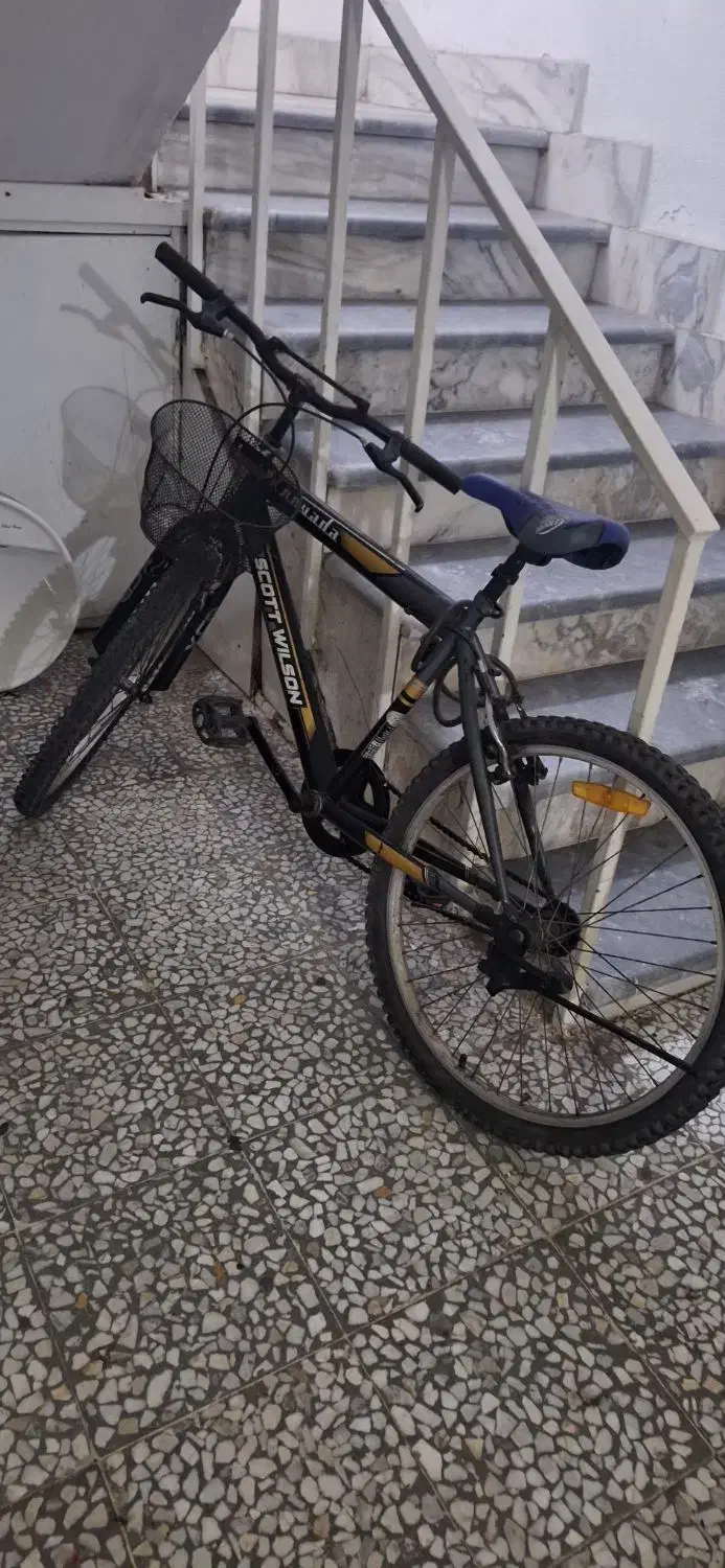 دوچرخه ۲۴|دوچرخه، اسکیت، اسکوتر|رشت, لاکانی|دیوار