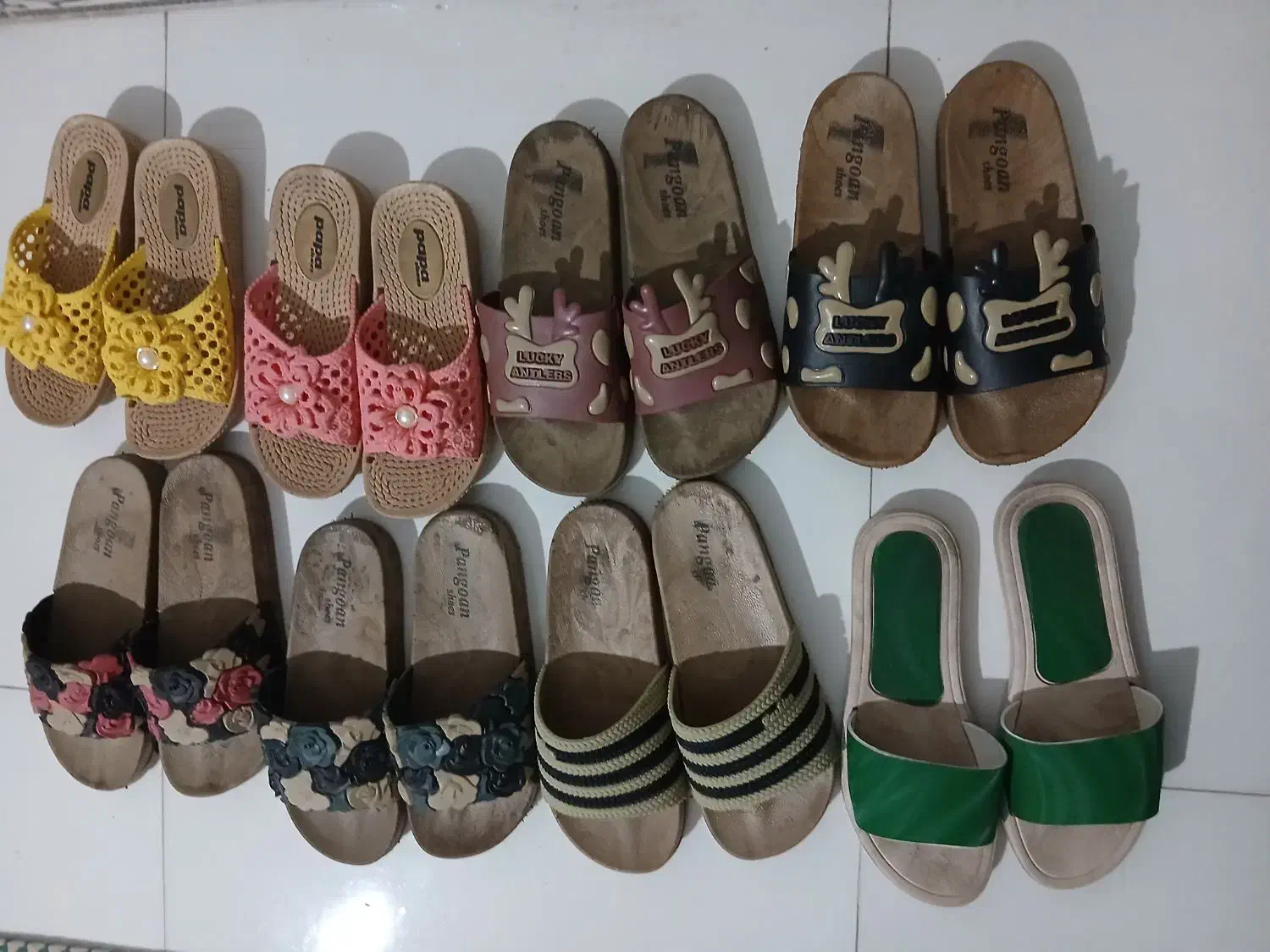 حراج دمپایی فقط فقط ۱۰۰ و۱۲۰|کیف، کفش، کمربند|کنگاور, |دیوار