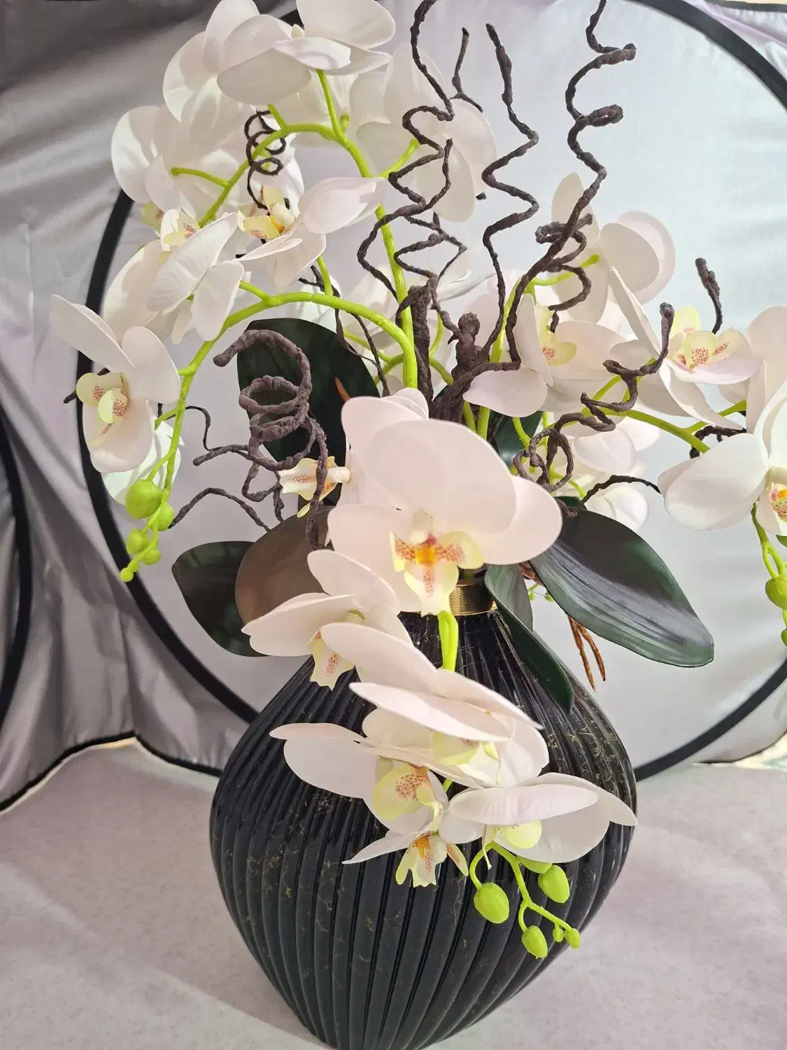 گل ارکیده ناب ناب|گل و گیاه طبیعی|شاهین‌شهر, فردوسی|دیوار