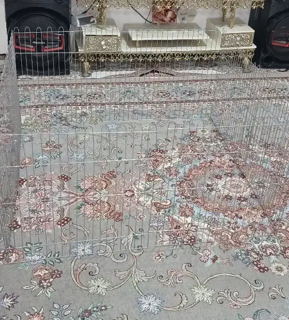 قفس/پارک حیوانات|لوازم جانبی حیوانات|اقبالیه, |دیوار