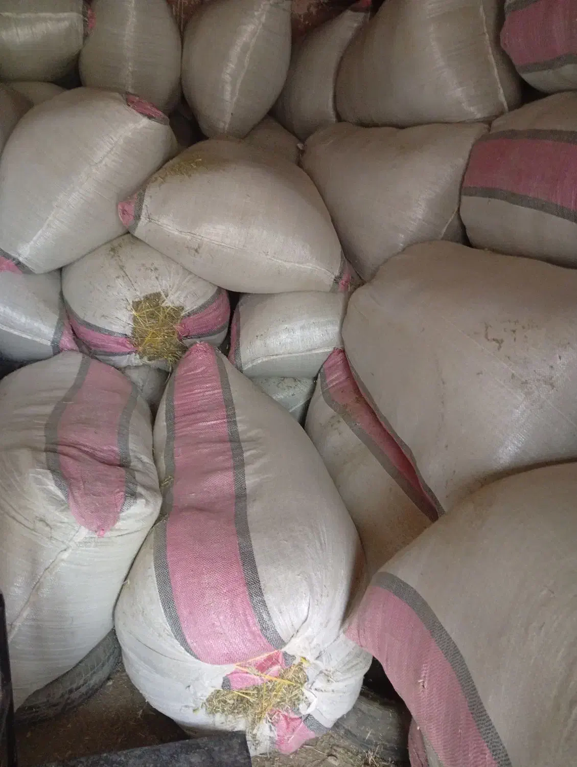 یونجه خرمنکوبی|لوازم جانبی حیوانات|نهاوند, |دیوار