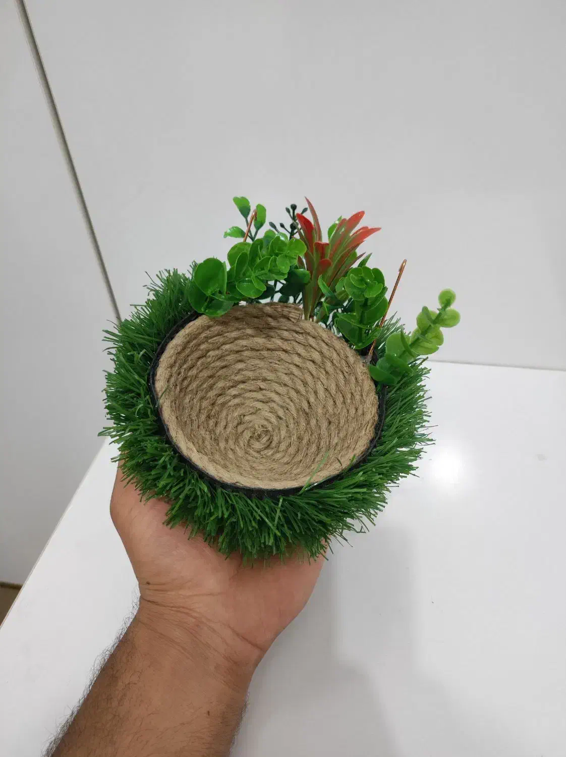 لانه سهره|لوازم جانبی حیوانات|مبارکه, |دیوار