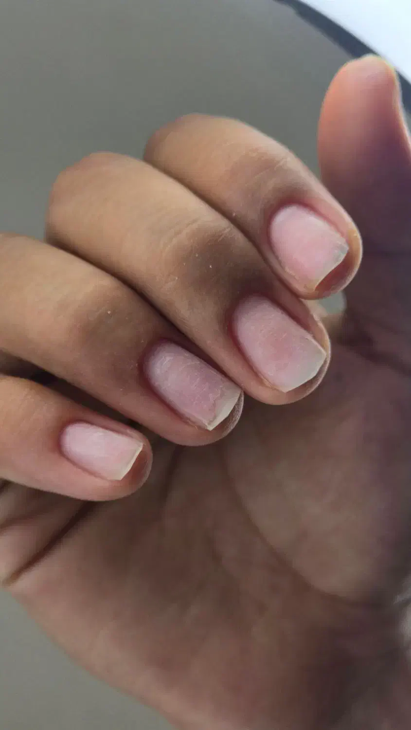 آموزش حرفه ای ناخن از پایه تا پیشرفته|خدمات آموزشی|کاشان, کوچه باسکول|دیوار