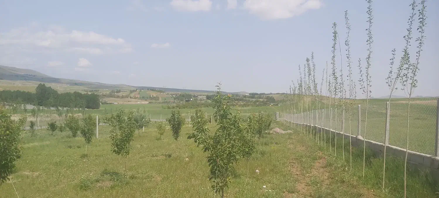 زمین۲۰۸۰ متری  در سد الخلج|فروش زمین و ملک کلنگی|تیکمه داش, |دیوار