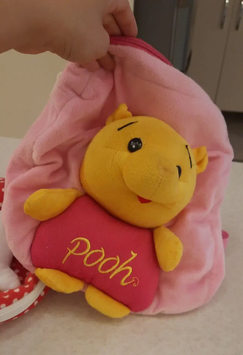 دو عدد کیف کوله مهد کودک|کفش و لباس بچه|تهران, امام حسین|دیوار