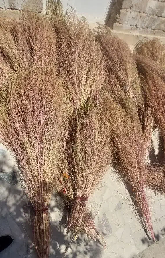 جارو|لوازم نظافت|خرمآباد, |دیوار