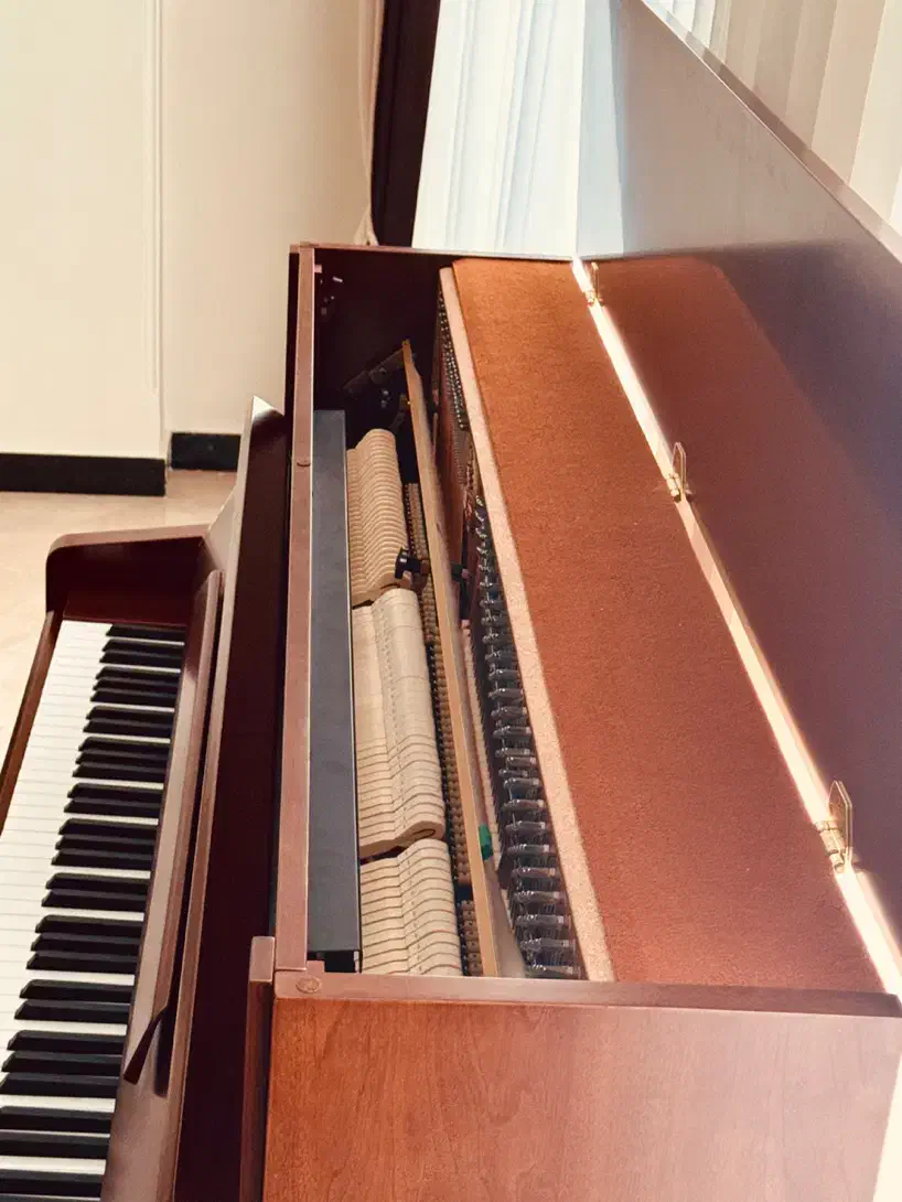 پیانو آکوستیک پرل ریور - آکبند|پیانو، کیبورد، آکاردئون|تهران, سازمان برنامه جنوبی|دیوار
