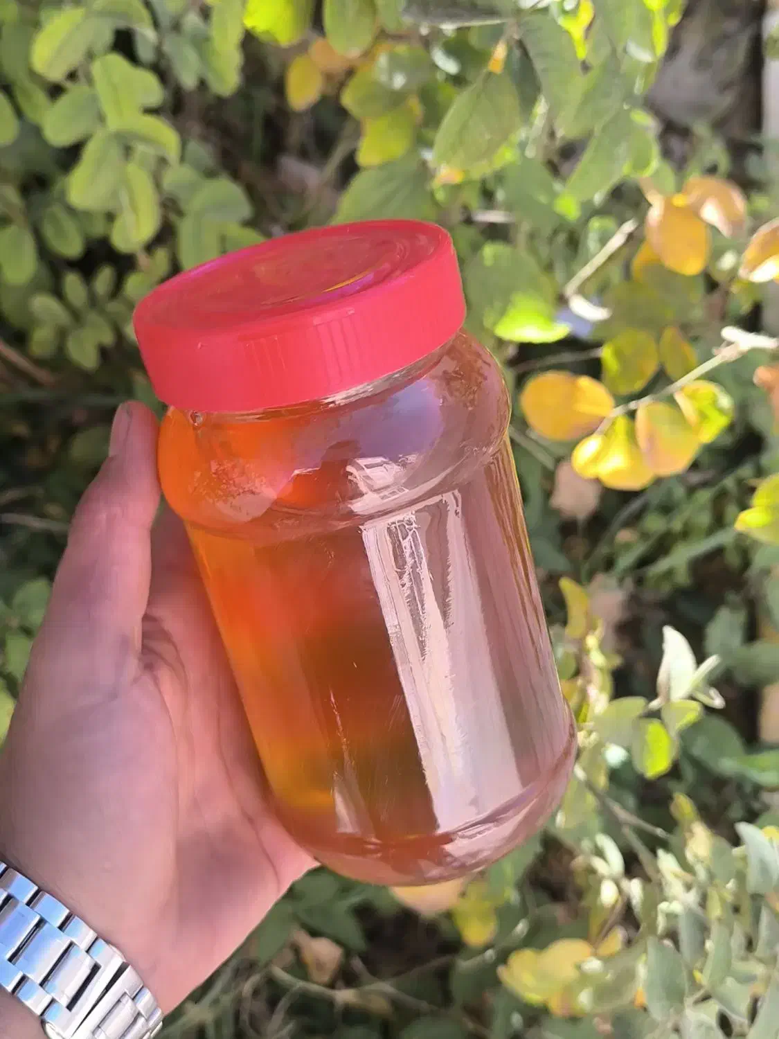 پخش عسل طبیعی تربت|خوردنی و آشامیدنی|تربتحیدریه, میدان مرکزی|دیوار