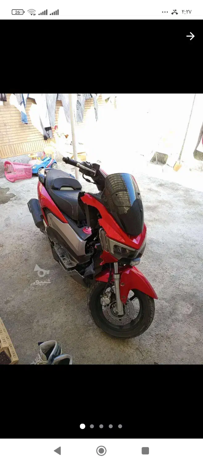 سگ نیه|حیوانات|سنندج, |دیوار